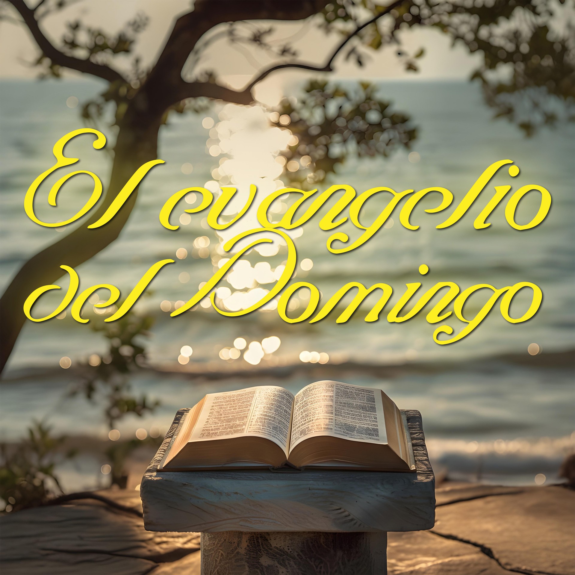 El Evangelio del Domingo